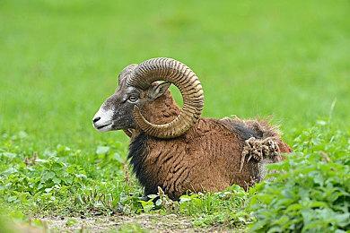 25周年纪念RPG《海贼王：时光旅诗》现已上市